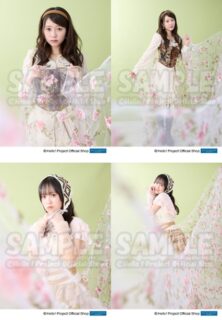 生写真情報 | ハロー！プロジェクト オフィシャルショップ